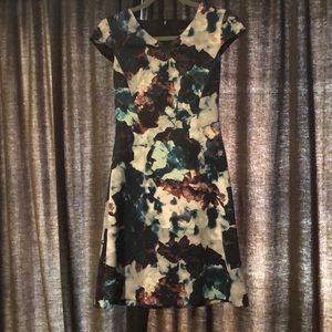 Antonio Melani Cap Sleeve Fit and Flare Dress